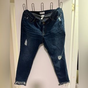Size 18 Lane Bryant jeans in excellent condition